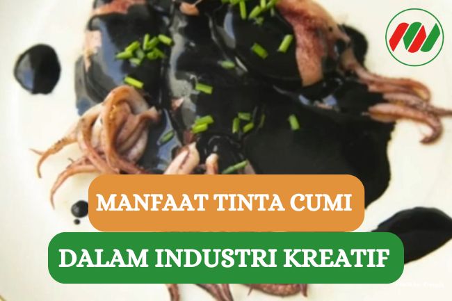 5 Manfaat Tinta Cumi dalam Kehidupan, Bisa Untuk Seni??